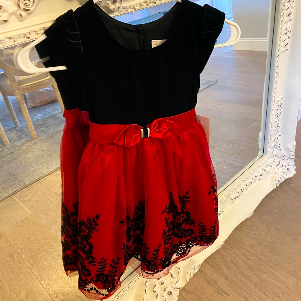 Fancy Holiday Dress